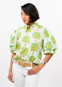 Lemon Tree Top