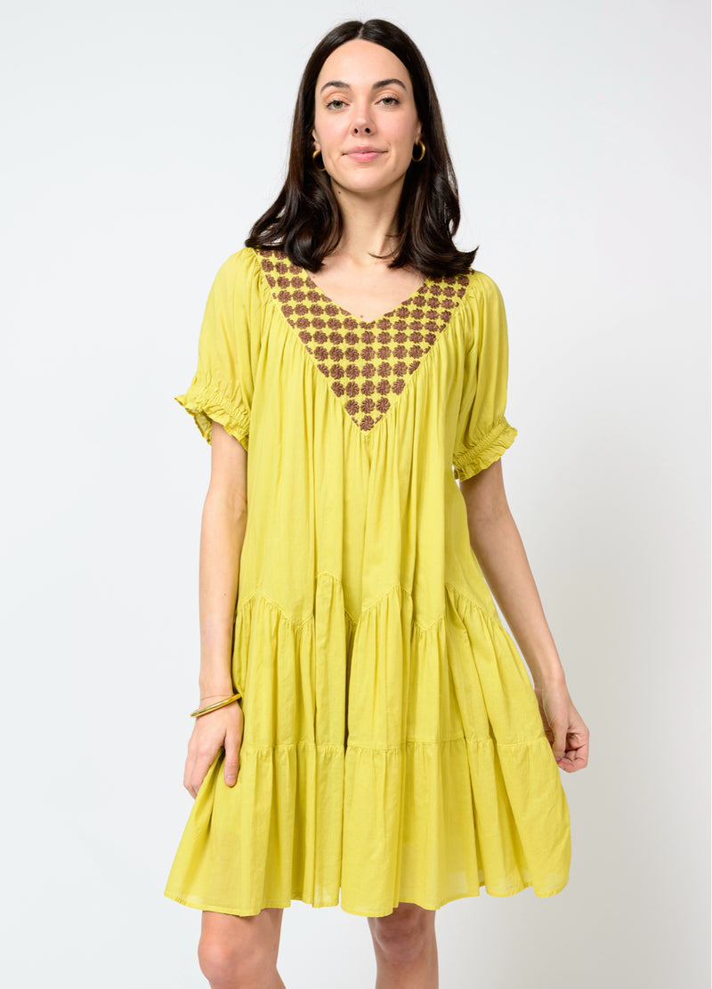 Daisy Filled Yoke Dress