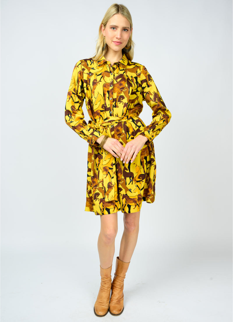 Saddle Up Dress