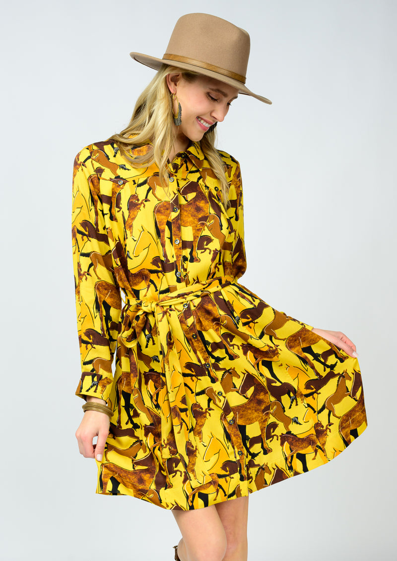 Saddle Up Dress
