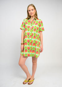 Swing Shift Dress