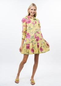 Roses Pleated Shirt Dress