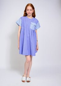 Tucked Swing Dress